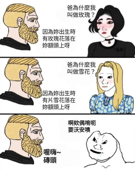 磚頭梗圖